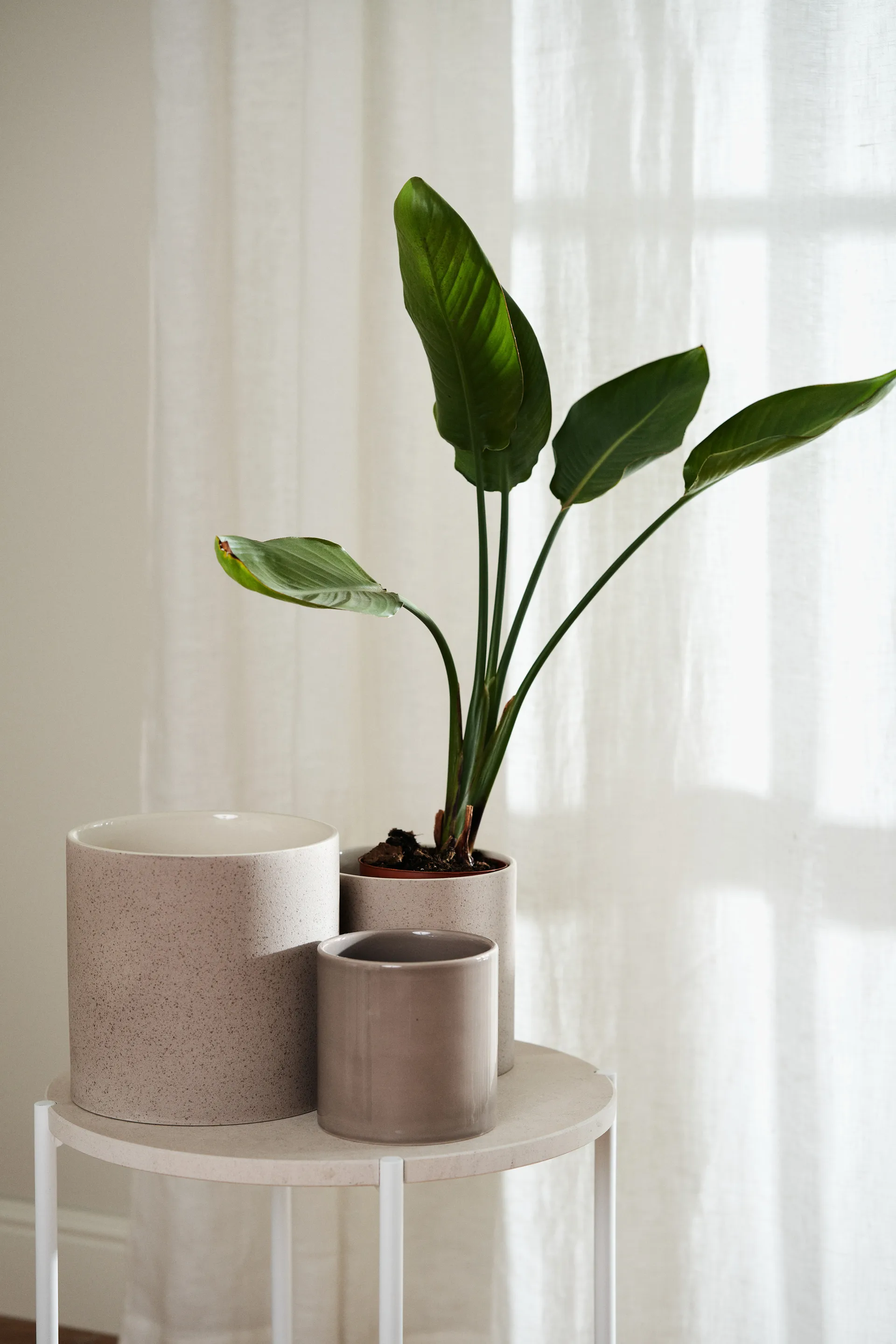 Sleek 植木鉢 Ø12 cm, Beige Scandi Living | スカンジリビング