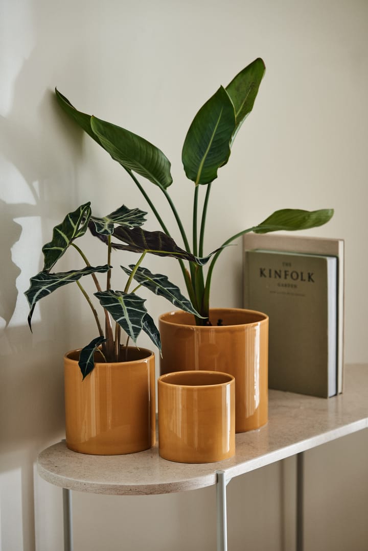 Sleek 植木鉢 Ø12 cm, Mustard Scandi Living | スカンジリビング