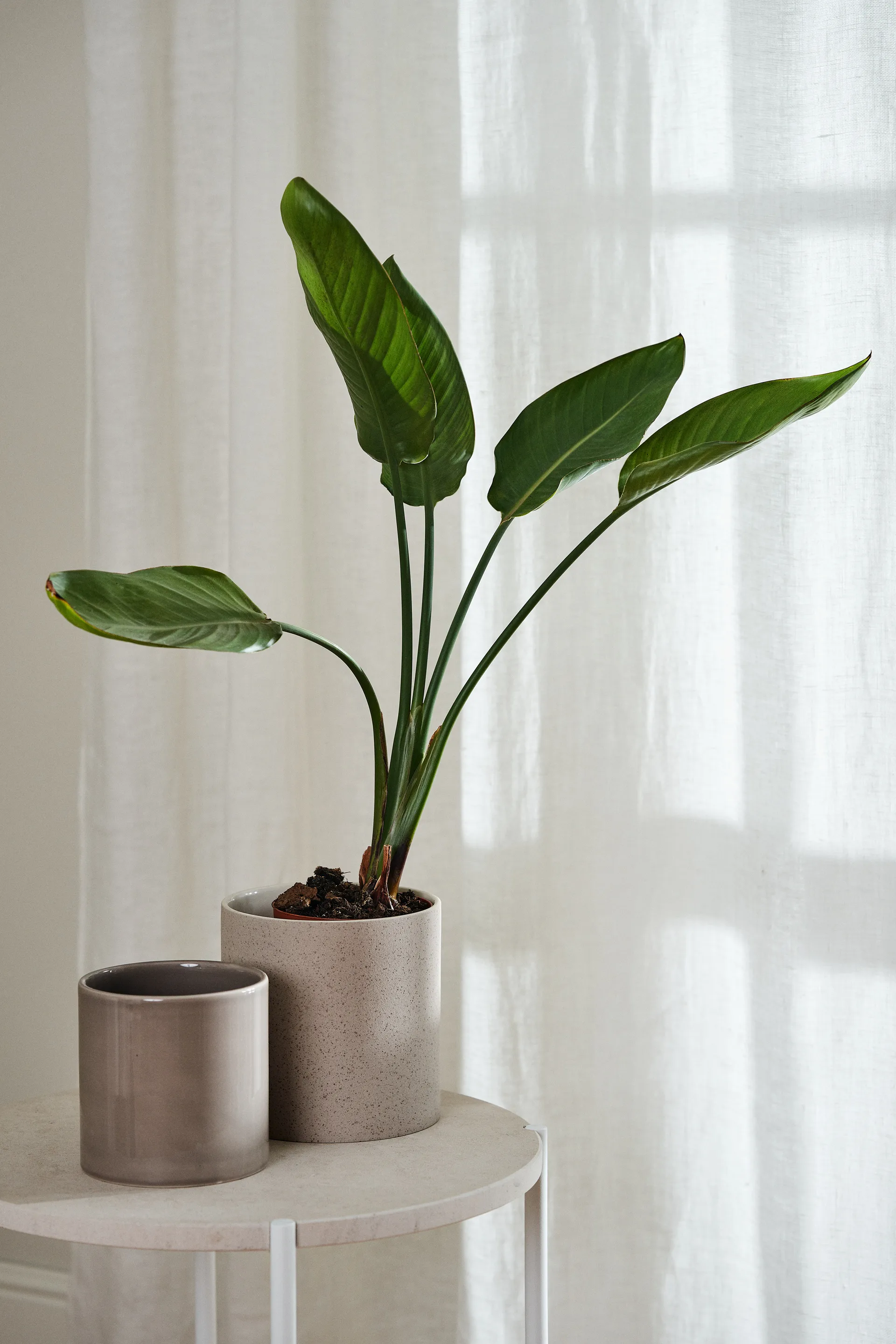 Tranquility マルチバンド付きカーテン 139x250 cm, White Scandi Living | スカンジリビング