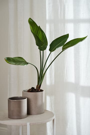 Tranquility マルチバンド付きカーテン 139x250 cm - White - Scandi Living | スカンジリビング