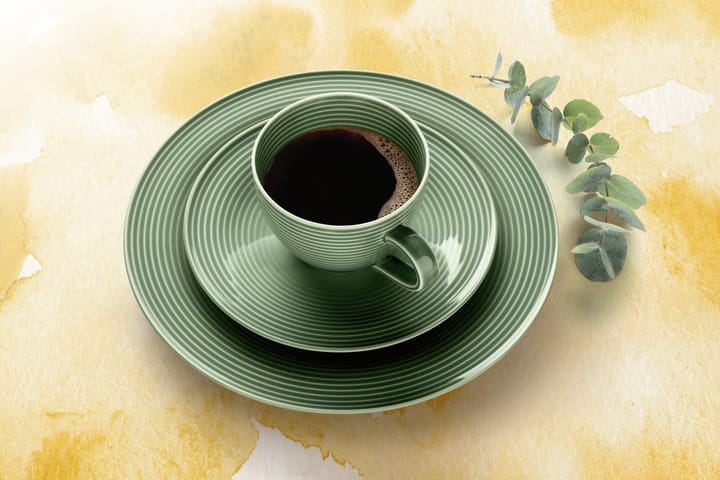 Beat サービスセット 30点, Green Seltmann Weiden