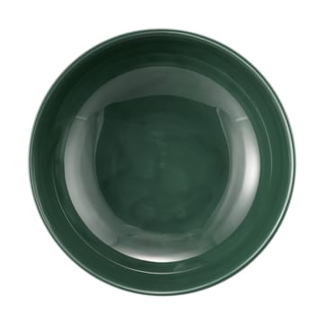 Terra ボウル Ø17.7 cm 2個 - Moss Green - Seltmann Weiden