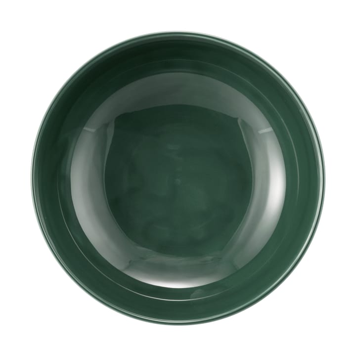 Terra ボウル Ø17.7 cm 2個, Moss Green Seltmann Weiden