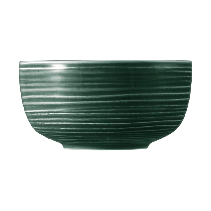 Terra ボウル Ø17.7 cm 2個, Moss Green Seltmann Weiden