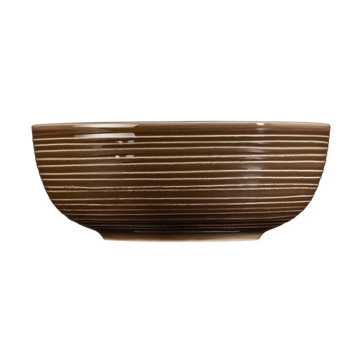 Terra ボウル Ø20.4 cm 2個, Earth Brown Seltmann Weiden