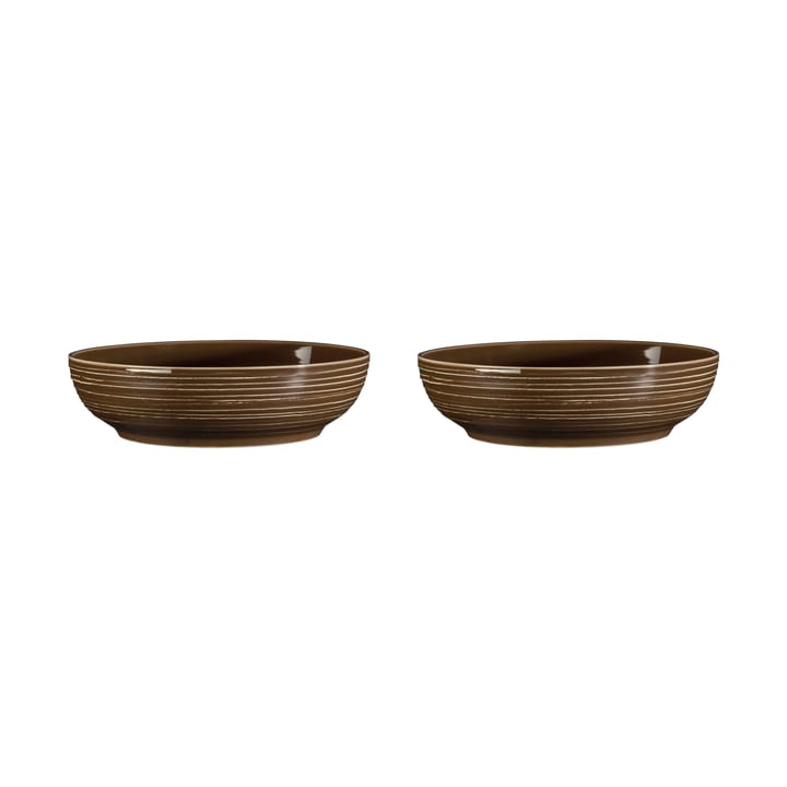 Terra ボウル Ø25.5 cm 2個, Earth Brown Seltmann Weiden