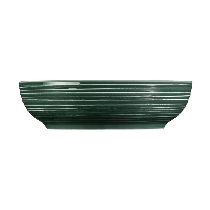 Terra ボウル Ø25.5 cm 2個, Moss Green Seltmann Weiden