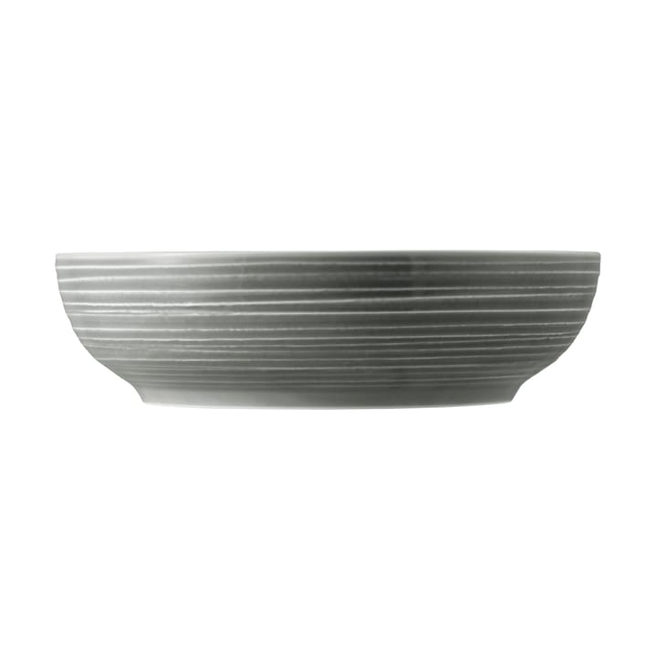 Terra ボウル Ø25.5 cm 2個, Pearl Grey Seltmann Weiden