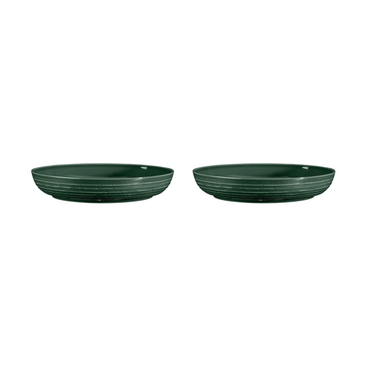 Terra ボウル Ø28 cm 2個 - Moss Green - Seltmann Weiden