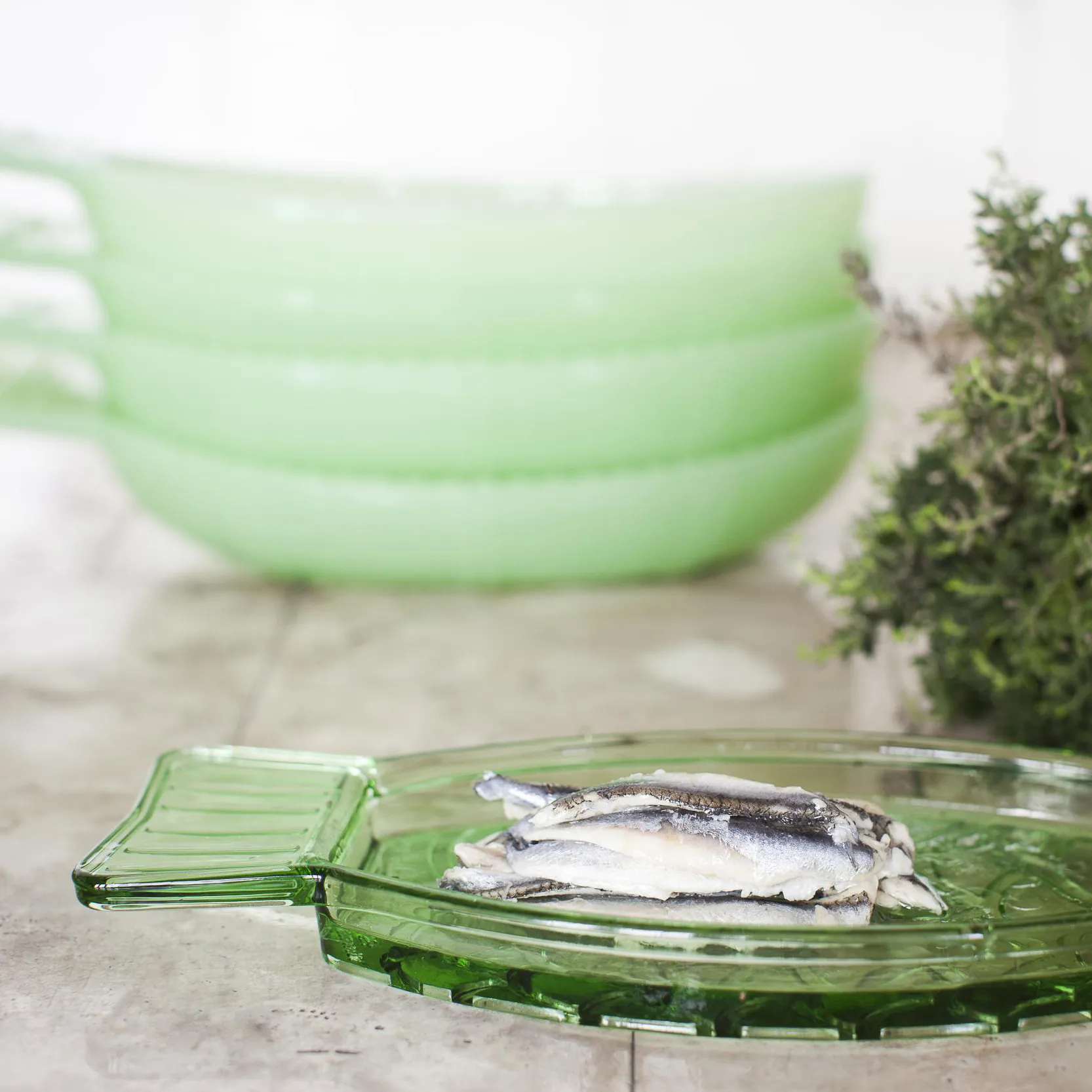 Fish and Fish プレート 10x23 cm, green Serax | セラックス