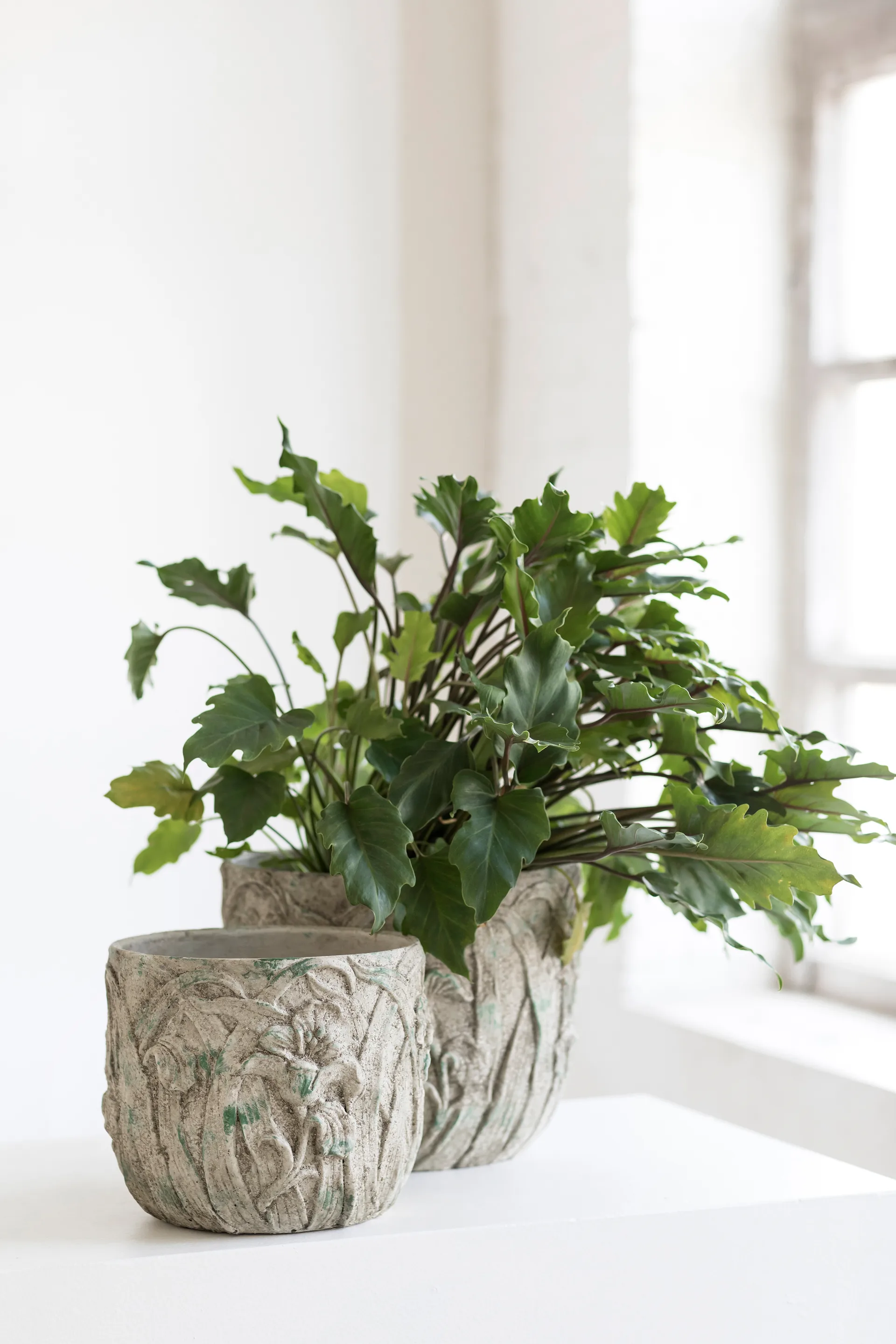 Rustic flower pot 花瓶 M 25.5 cm, Grey Serax | セラックス