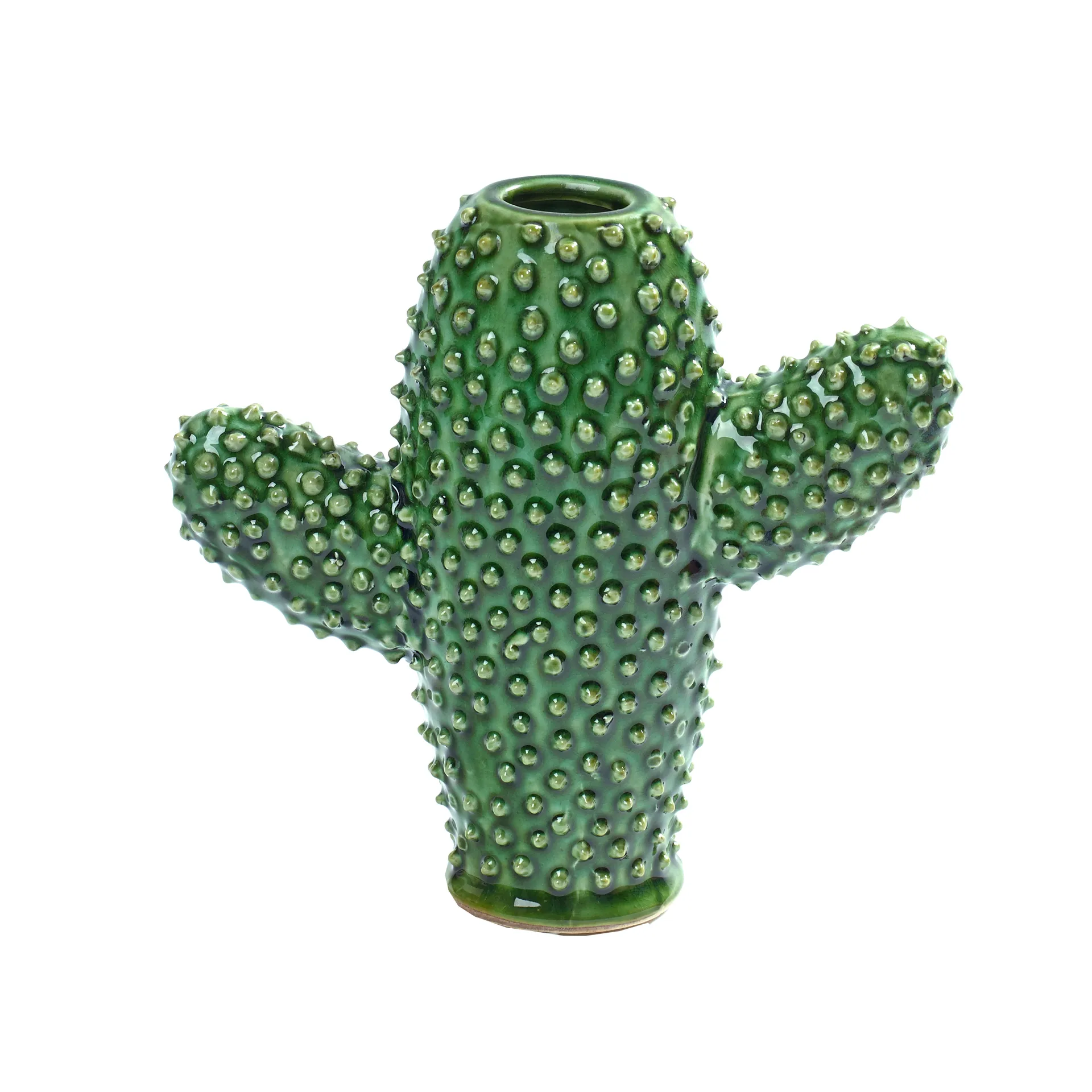 Serax cactus 花瓶, small Serax | セラックス