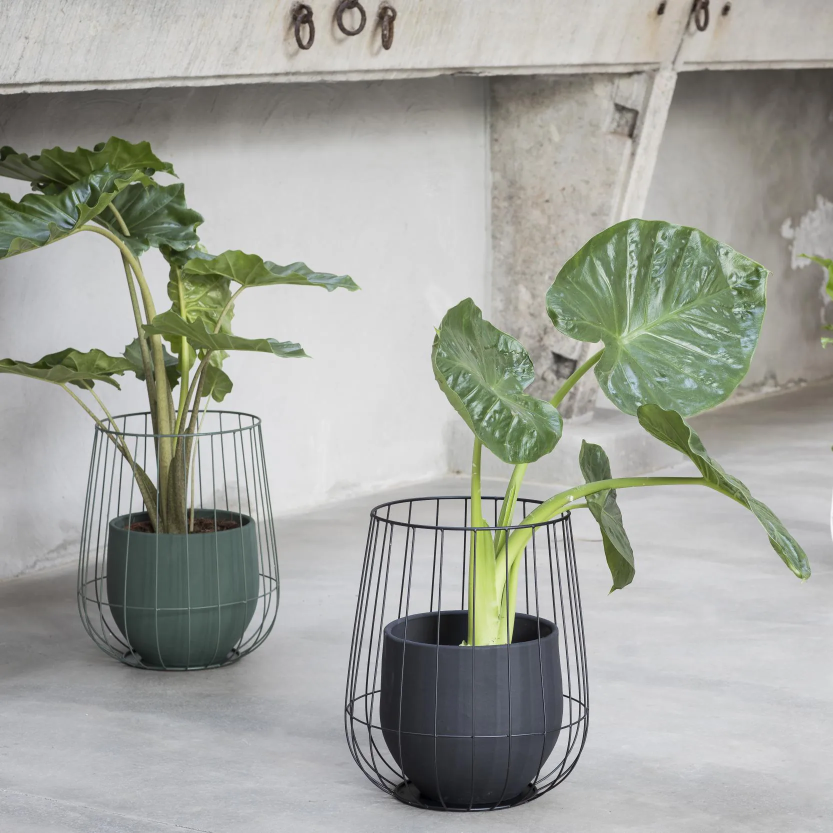 Serax 植木鉢 in バスケット 37x46 cm, black Serax | セラックス