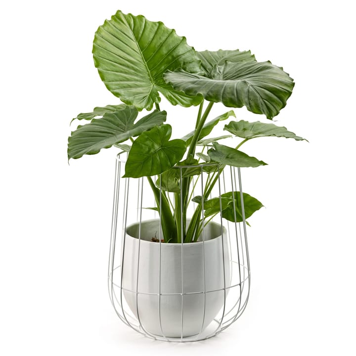 Serax 植木鉢 in バスケット 37x46 cm, white Serax | セラックス