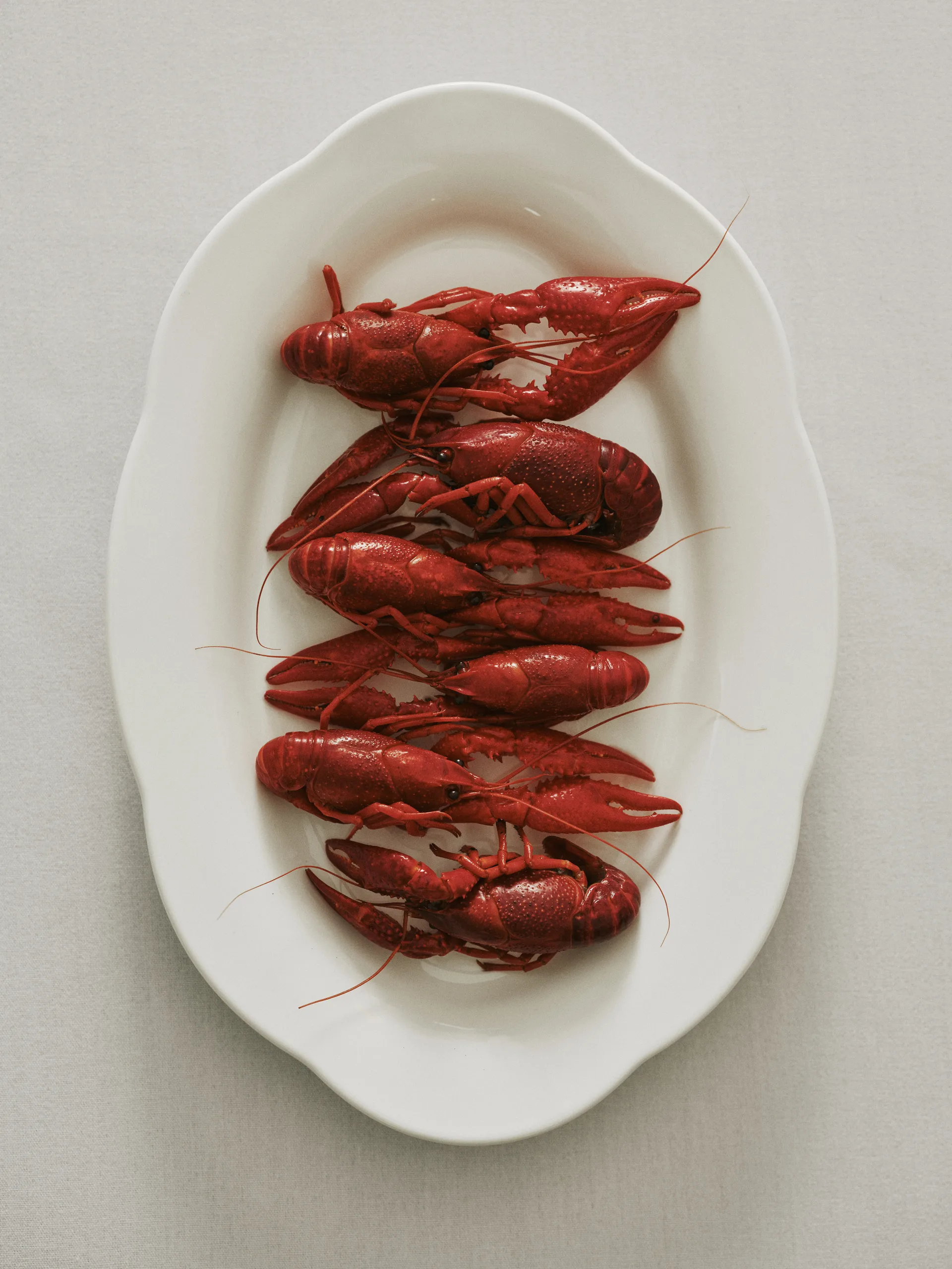 Silhouette オーバル 深皿 M 15x24.5 cm 2パック, White Serax | セラックス