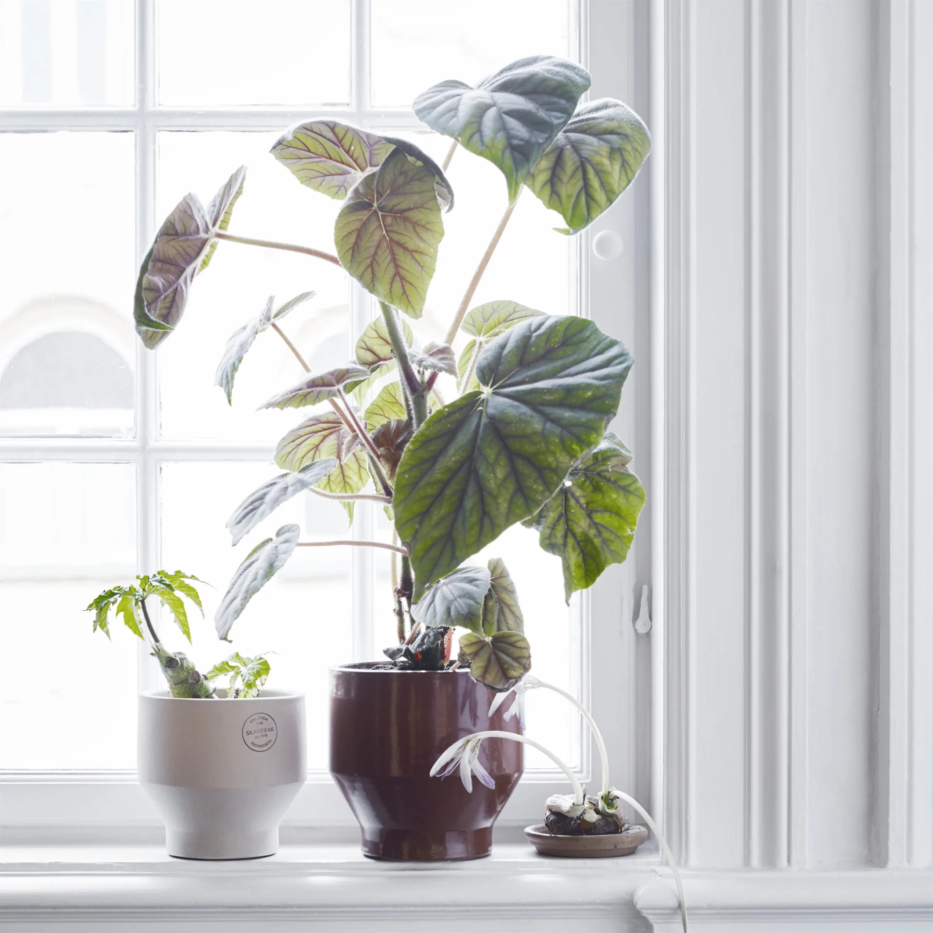 Edge ポット (屋内) 18 cm, burned red Skagerak | スケアラック