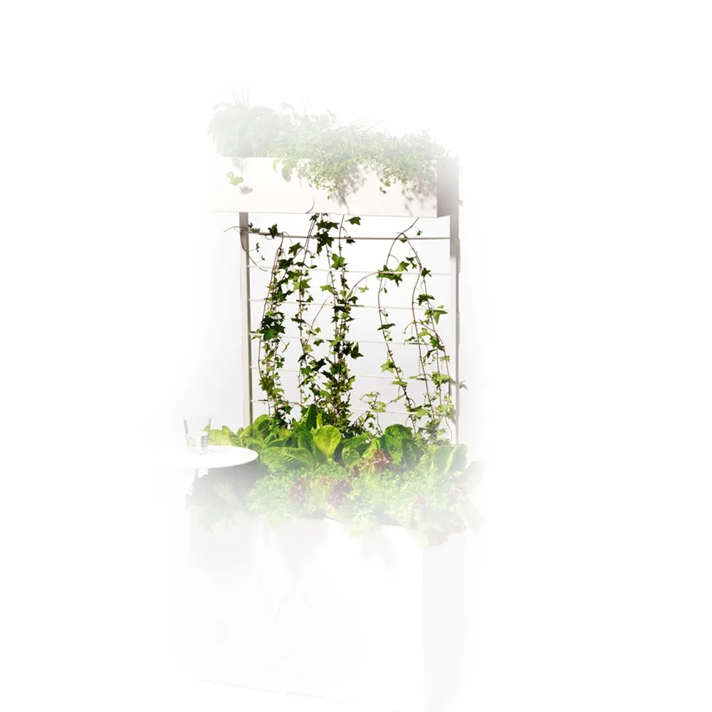 Urban trellis, White SMD Design | SMD Design