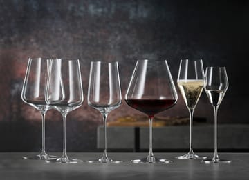 Definition Burgundy 赤ワイングラス 96 cl 2パック - Clear - Spiegelau | シュピゲラウ
