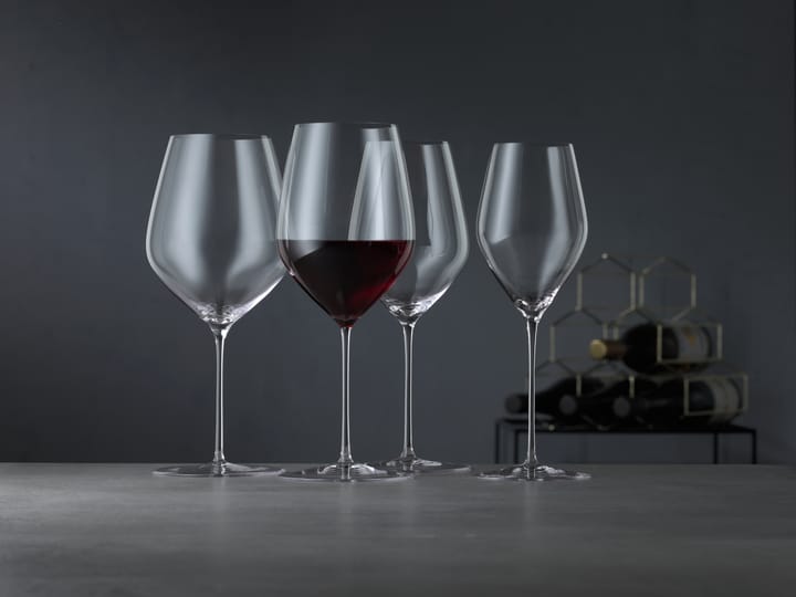 HI-LITE ユニバーサル ワイングラス 48 cl 2本, Clear Spiegelau | シュピゲラウ