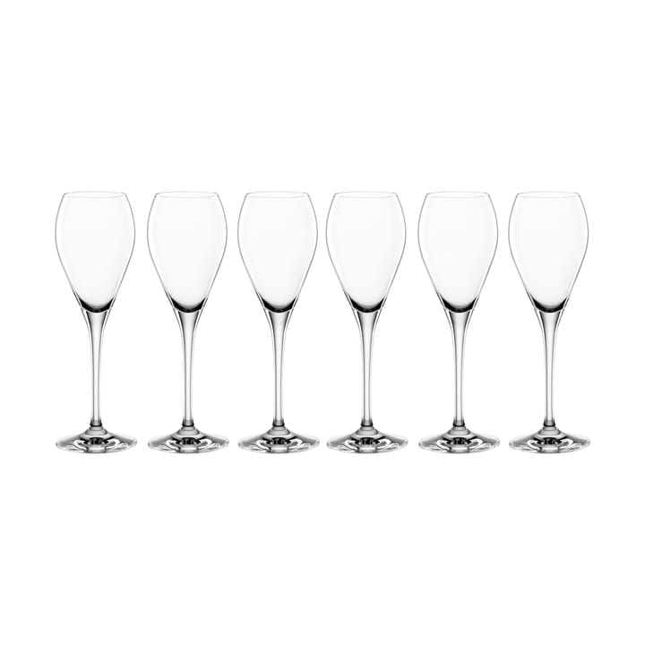 Party シャンパングラス 16 cl - 6-pack - Spiegelau | シュピゲラウ