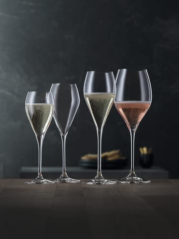 Party シャンパングラス 16 cl - 6-pack - Spiegelau | シュピゲラウ
