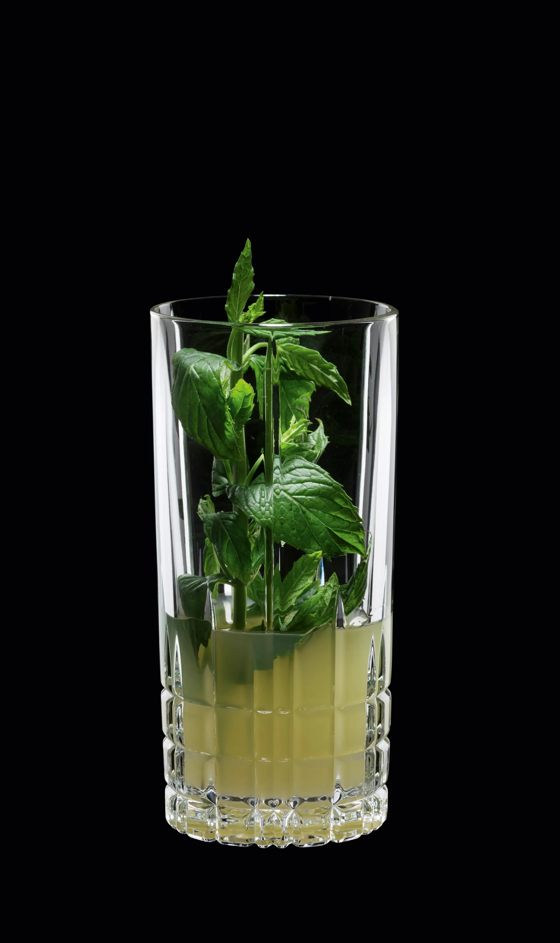 Perfect Serve ロングドリンク グラス 35cl . 4パック, clear Spiegelau | シュピゲラウ