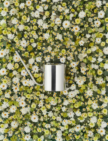 Original ジョウロ 1.7 L - stainless steel - Stelton | ステルトン
