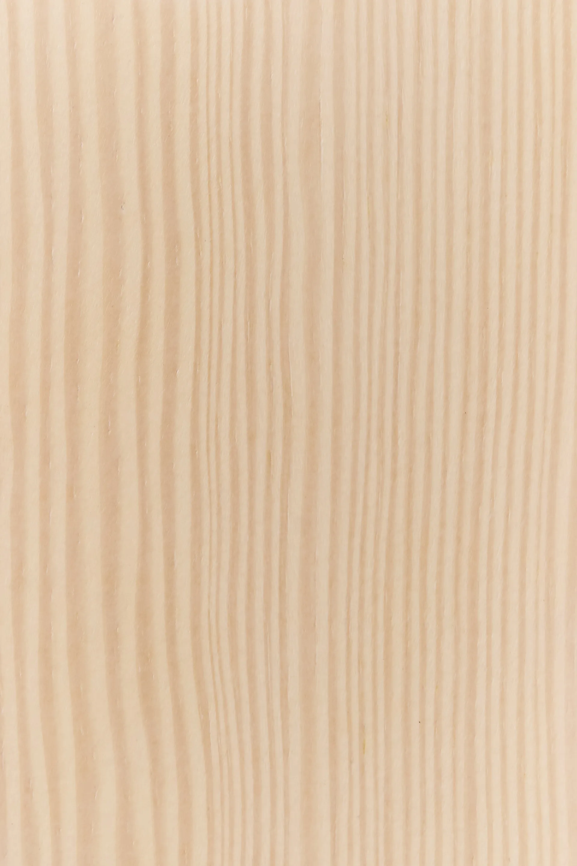 Tree Wall ウォールマウント コートハンガー スペシャルエディション 134 cm, White pigmented pine Swedese