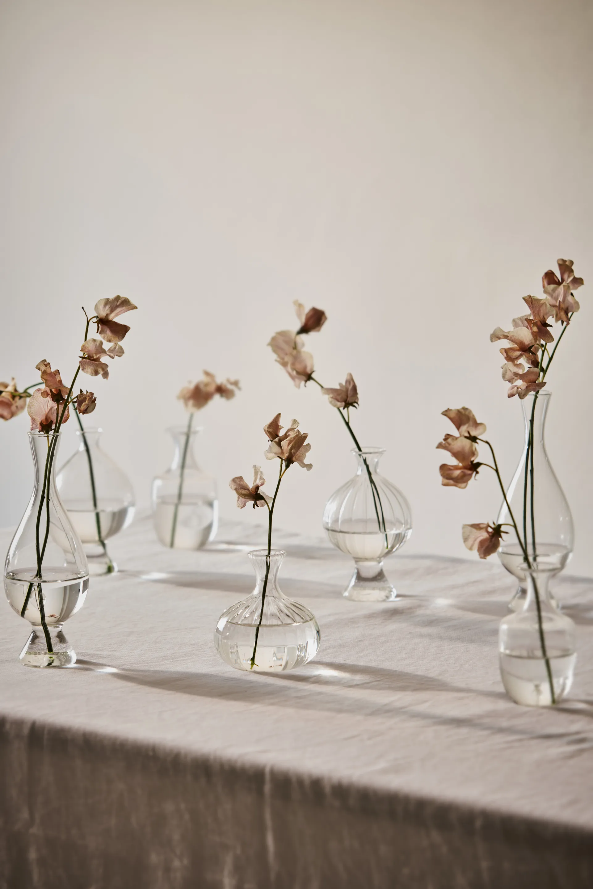 Como 花瓶, Small 10 cm Tell Me More | テルミーモア