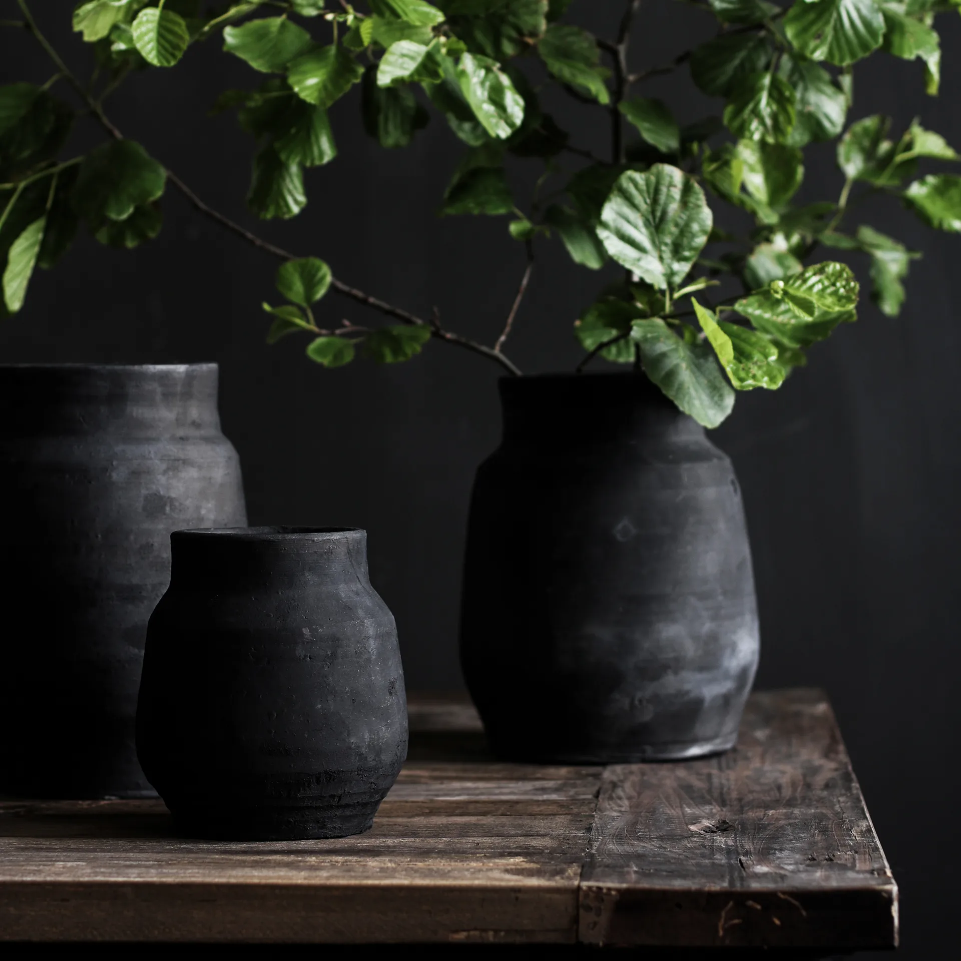 Hero 植木鉢 L, Black Tell Me More | テルミーモア