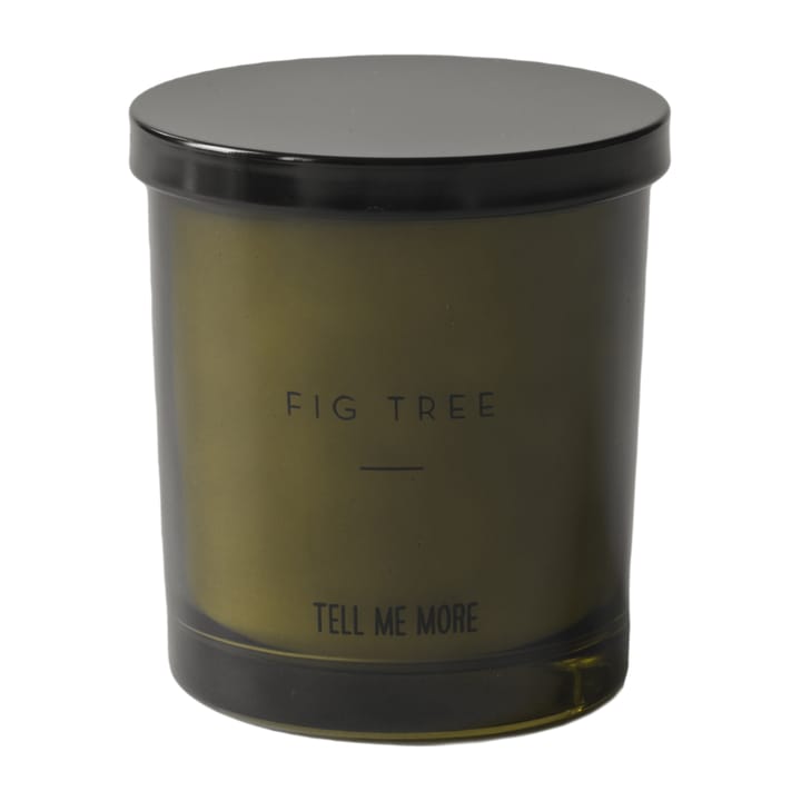 Noir アロマキャンドル 50時間, Fig tree Tell Me More | テルミーモア
