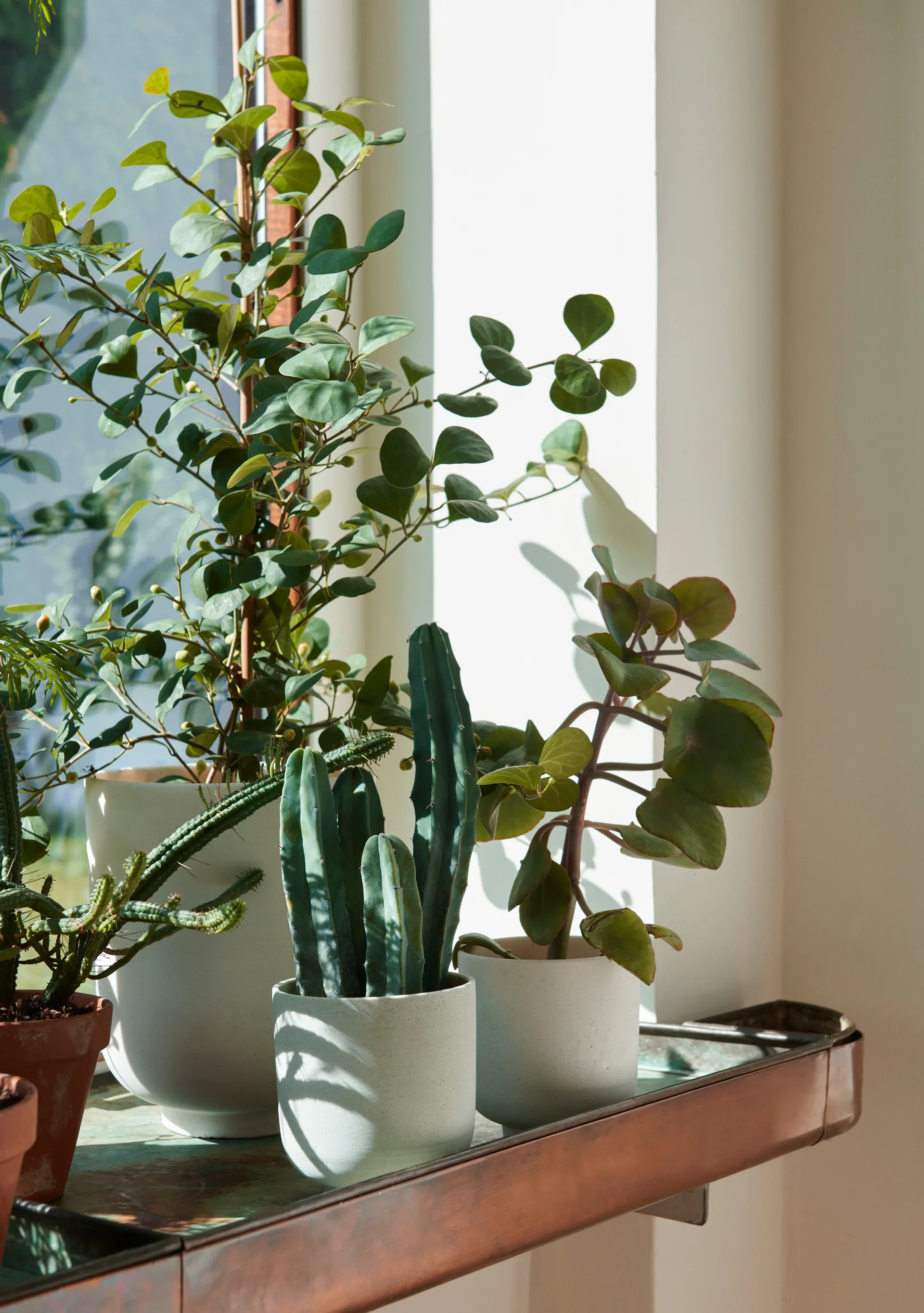 Collect SC69 植木鉢 small Ø12 cm, Milk &Tradition | アンドトラディション