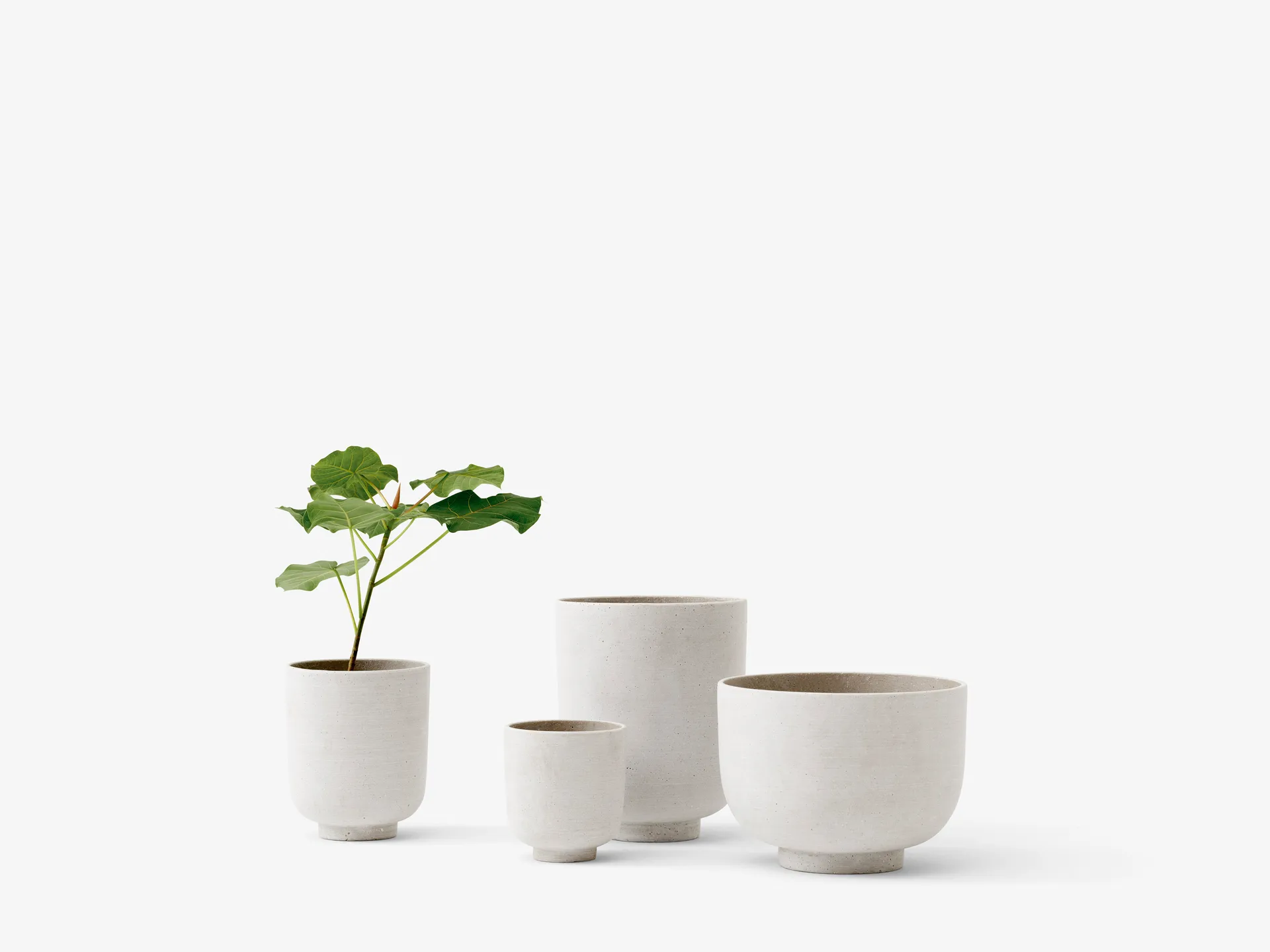 Collect SC70 植木鉢 medium Ø15 cm, Milk &Tradition | アンドトラディション