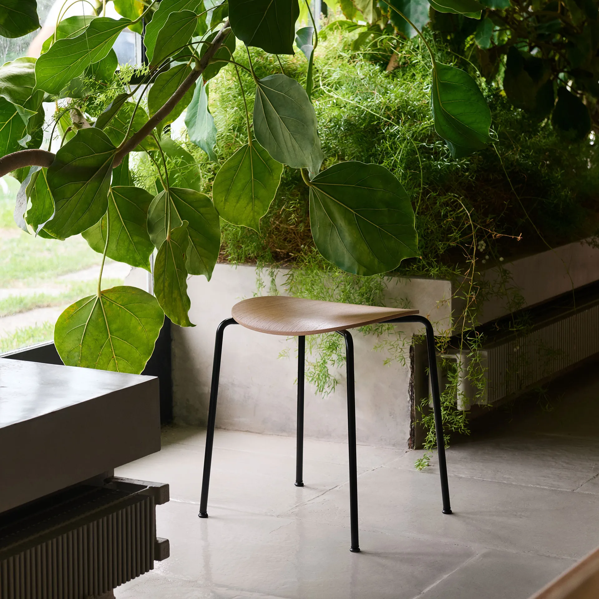 Pavilion AV36 スツール, Black-lacquered oak &Tradition | アンドトラディション