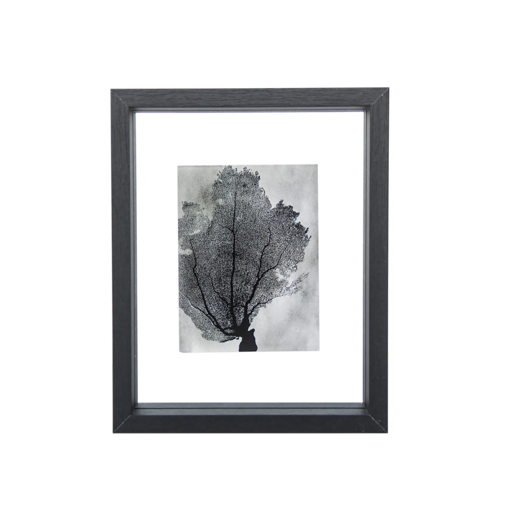 Floating tavel フレーム 15x20 cm, Black URBAN NATURE CULTURE | アーバン ネイチャー カルチャー