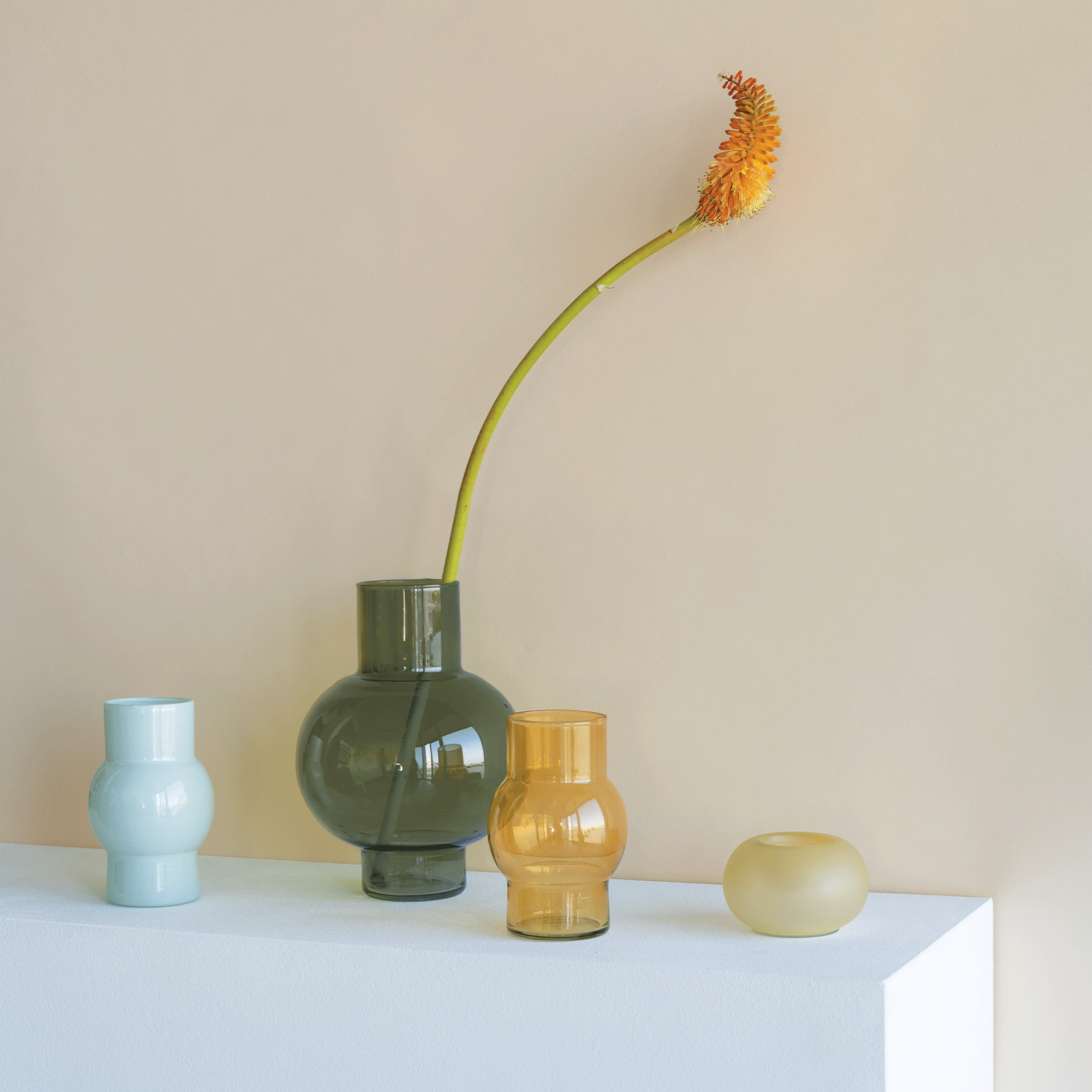 URBAN NATURE CULTURE | アーバン ネイチャー カルチャー からの URBAN NATURE CULTURE | アーバン ネイチャー カルチャー からの