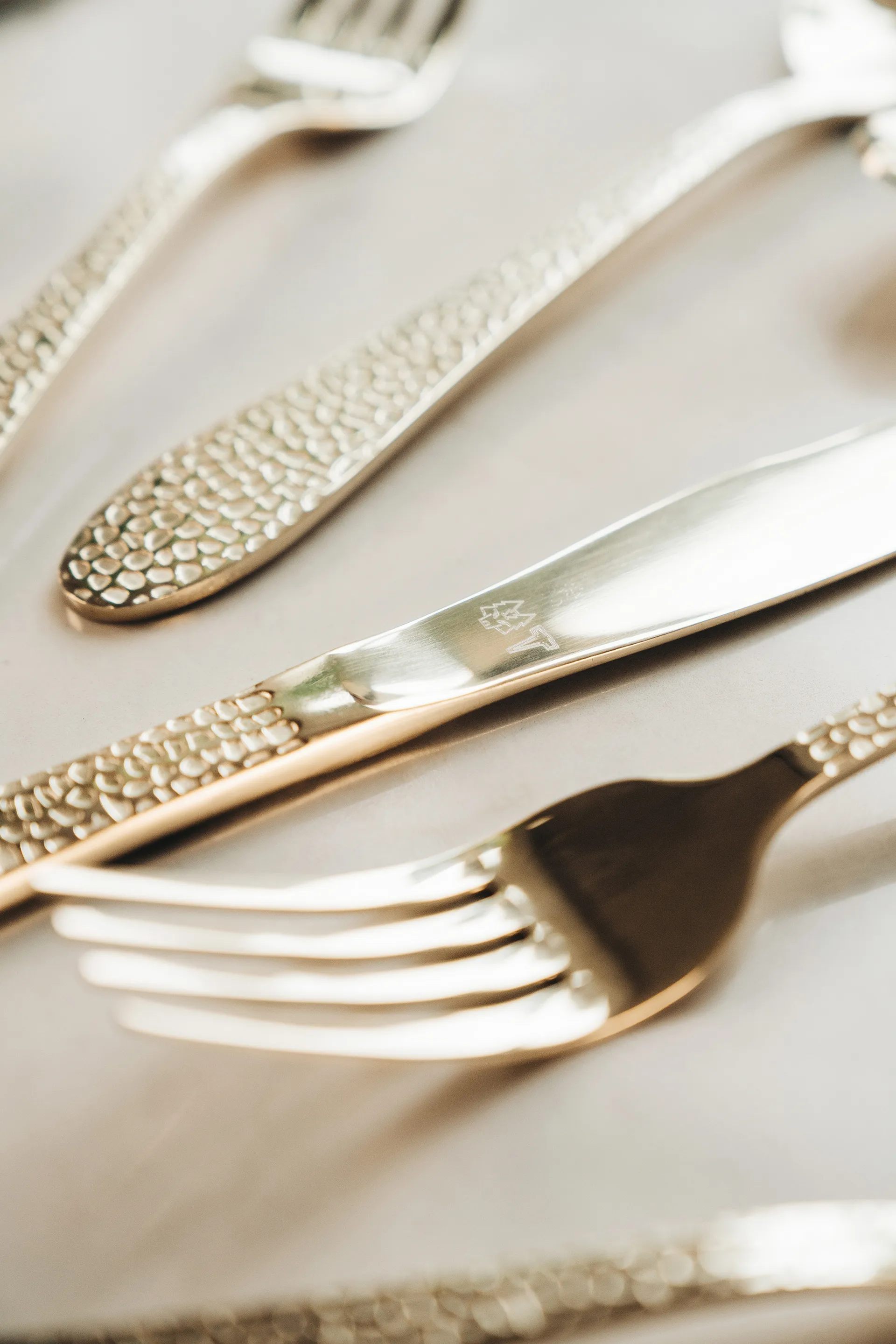 Vargen & Thor カトラリー 16本, Aura. cava Vargen & Thor