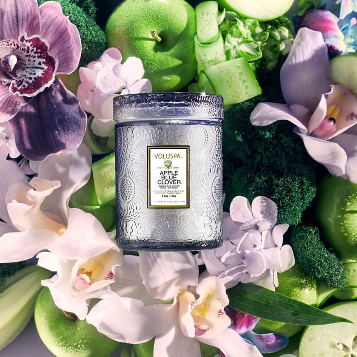 Japonica 香り付き ガラスジャー 50時間, Apple Blue Clover Voluspa | ボルスパ