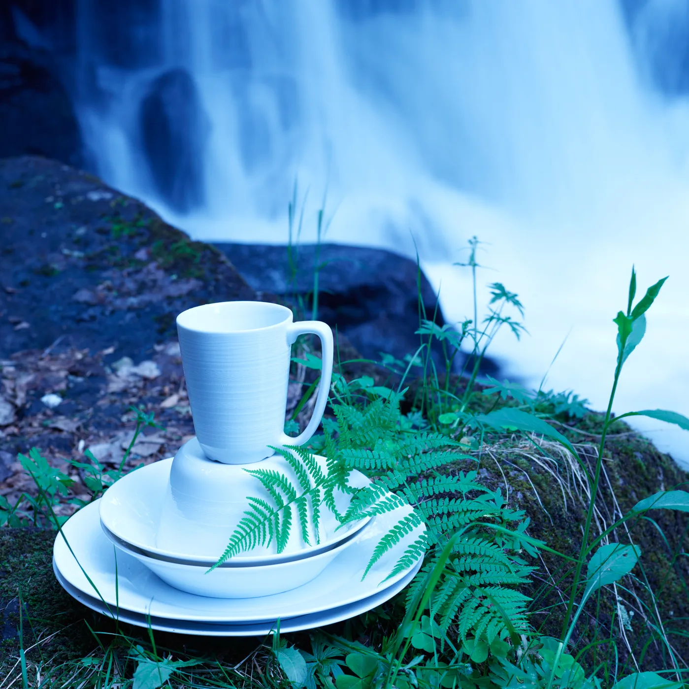 ホワイトウッド マグ, 30 cl Wik & Walsøe | ウィック & ワルソー