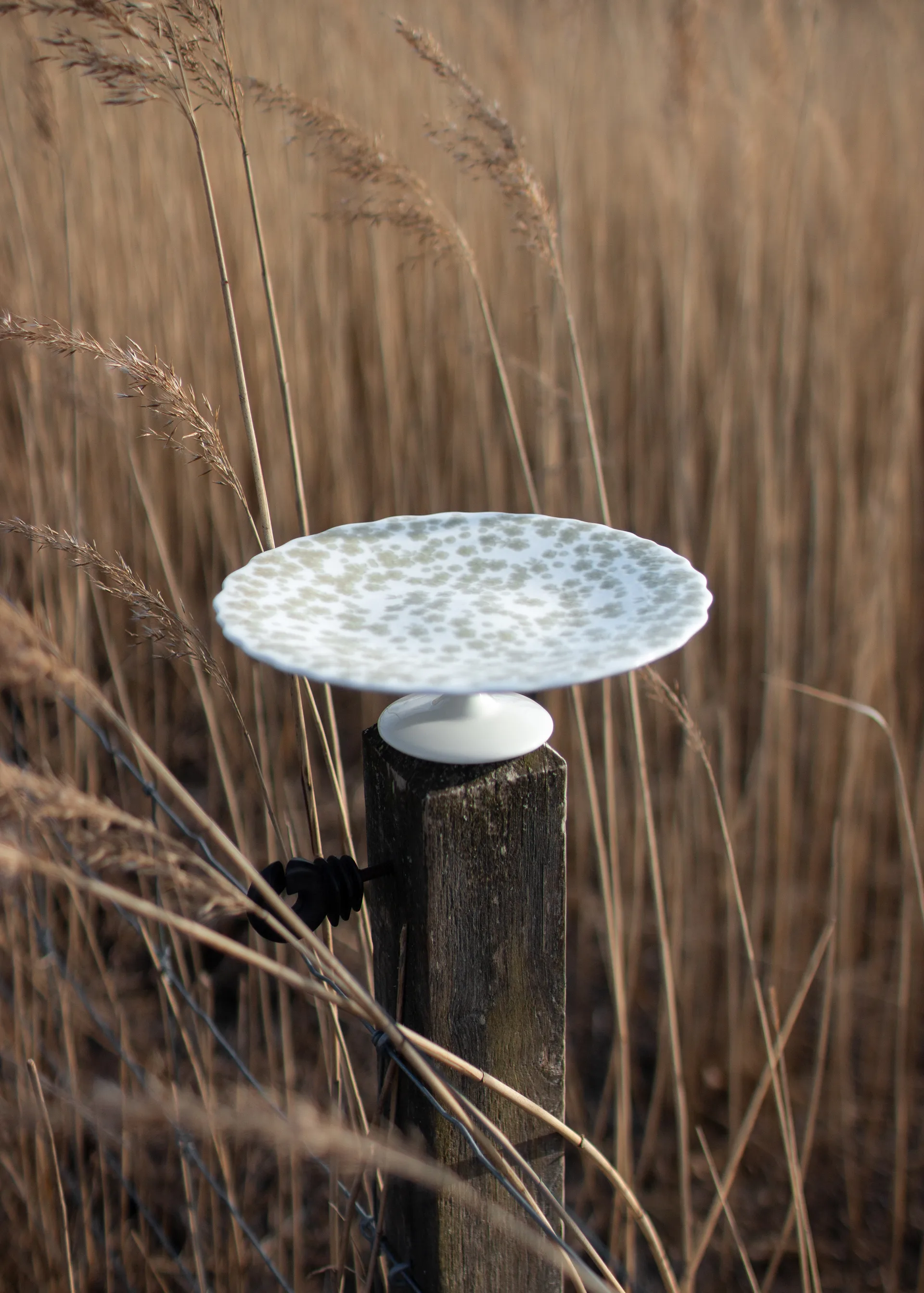 Slåpeblom ケーキプラッター Ø21 cm, Green Wik & Walsøe | ウィック & ワルソー