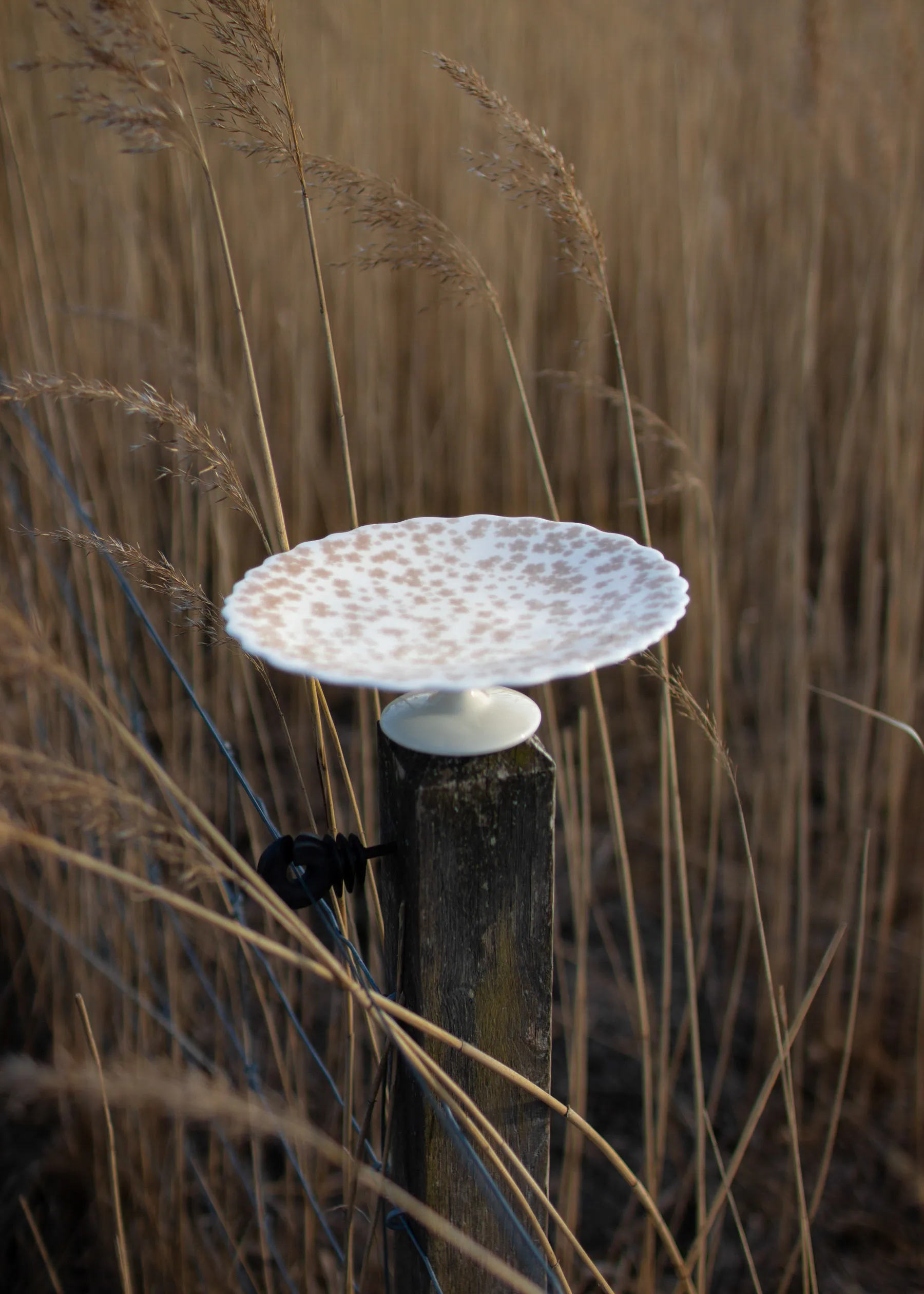 Slåpeblom ケーキプラッター Ø21 cm, Pink Wik & Walsøe | ウィック & ワルソー