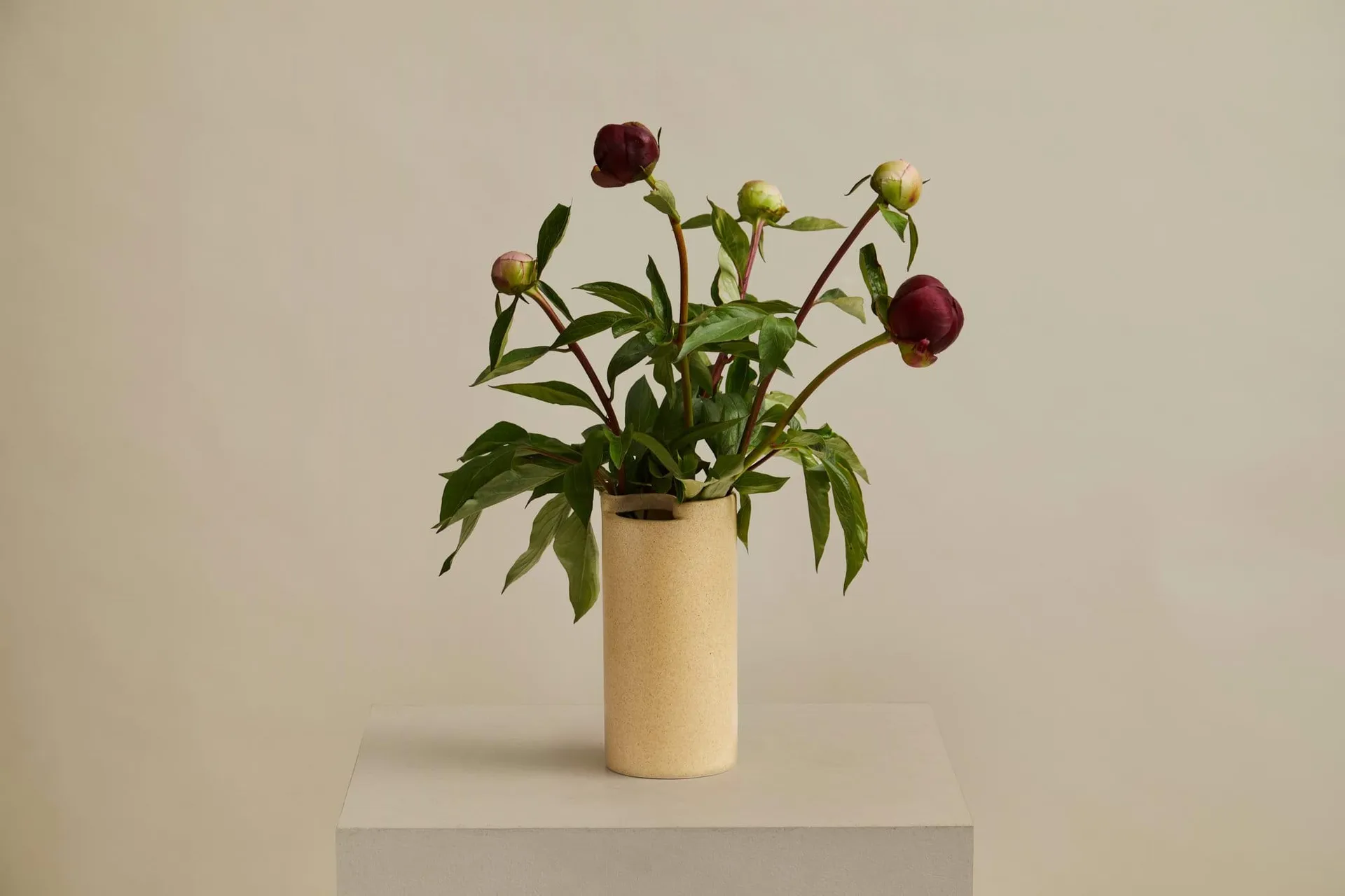 Flowr 花瓶, 21.5 cm Woud | ウッド