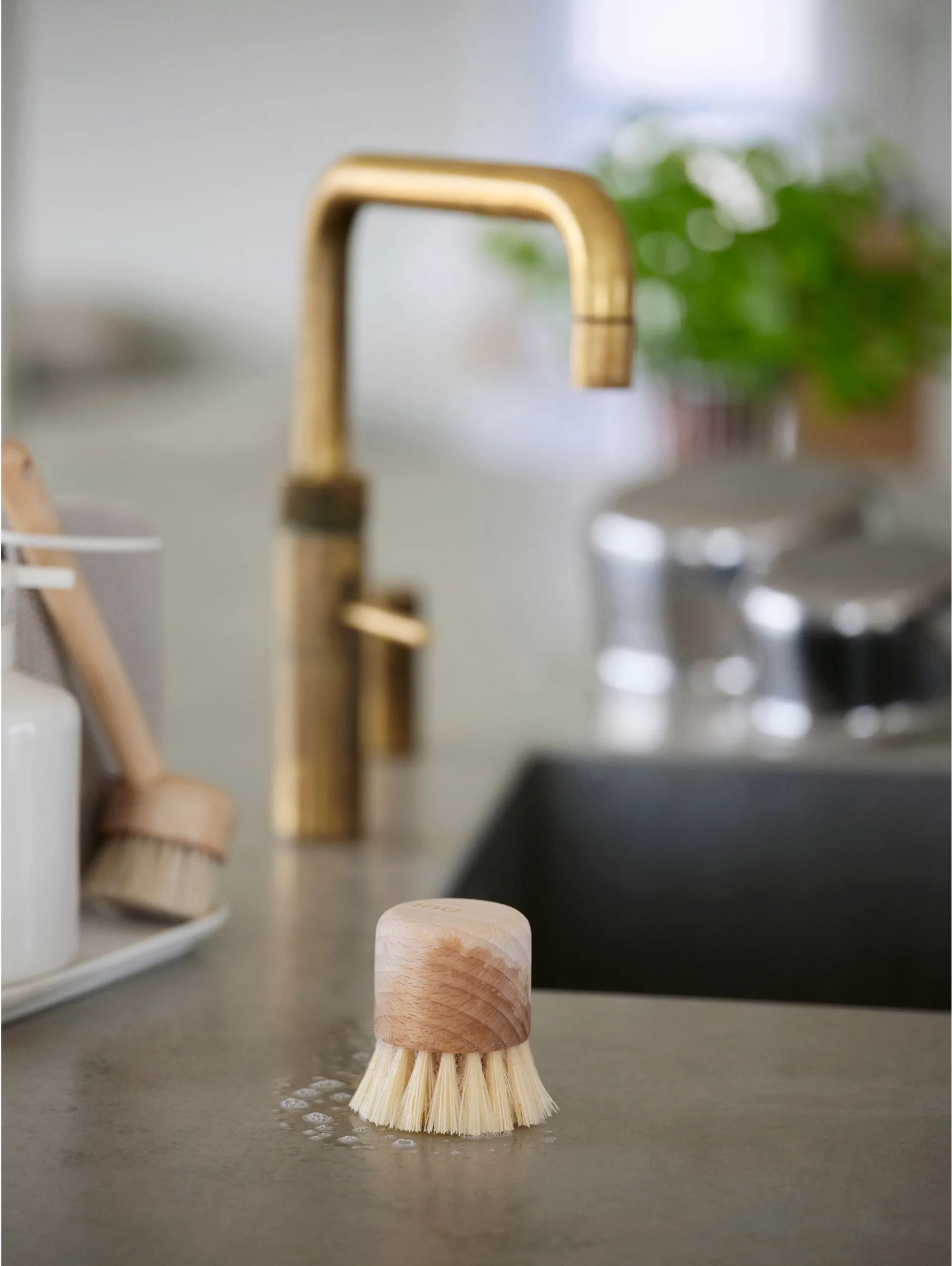 Inu ディッシュブラシ, Beech Zone Denmark | ゾーン デンマーク