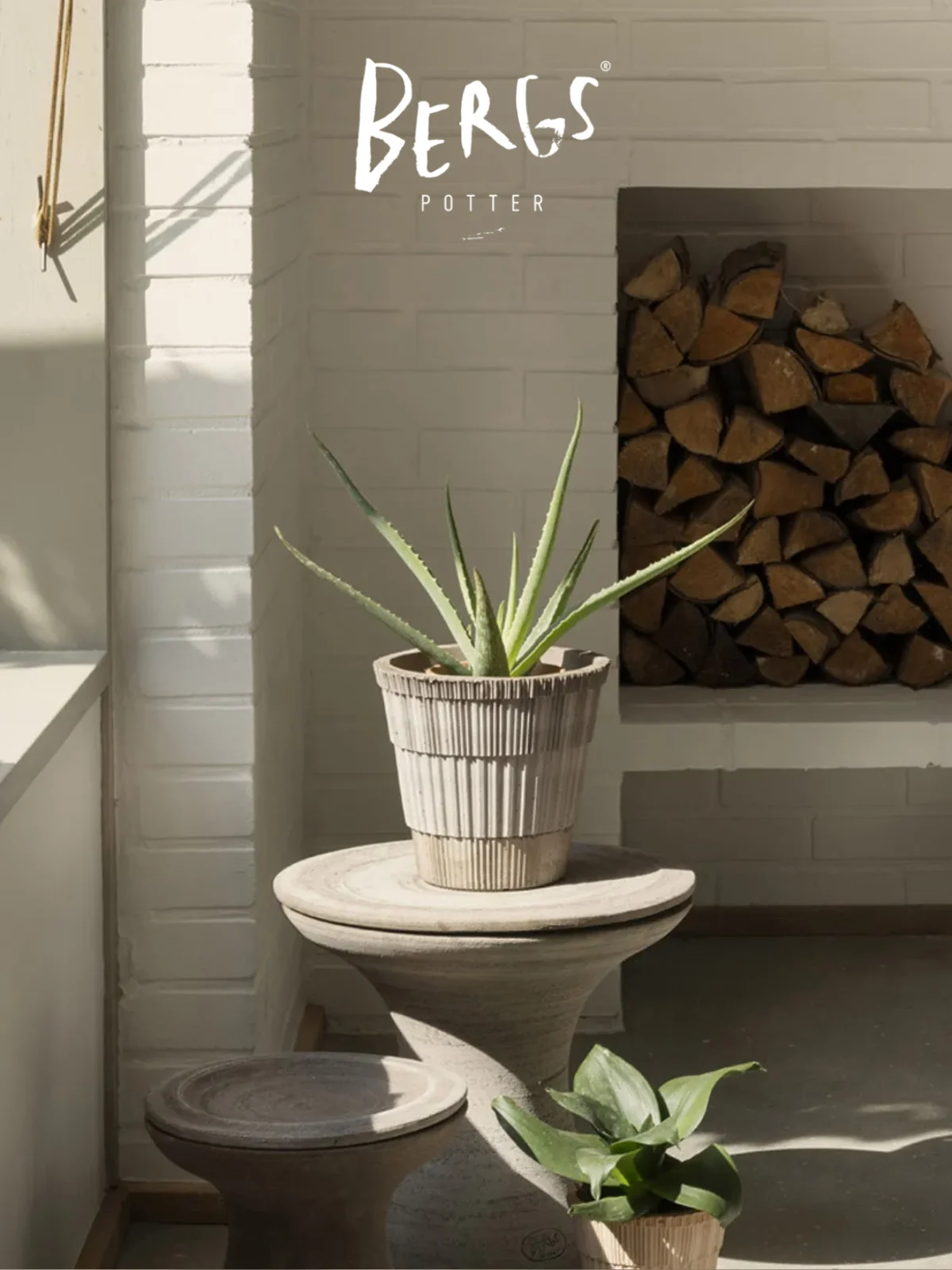 アロエベラが質感のある灰色の段々になった鉢に入り、明るいセラミックの台の上に置かれ、白いレンガの壁と積み重ねられた薪の隣にあります。