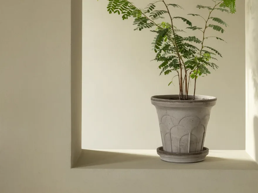 灰色のスカラップ模様のプランターに入った緑の葉の鉢植えが、ベージュの棚に置かれている。